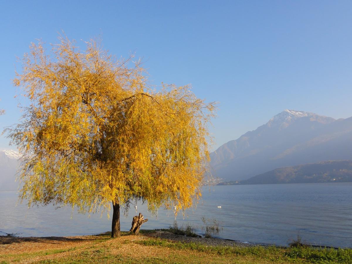 Appartamento Gorgotto Gravedona Buitenkant foto